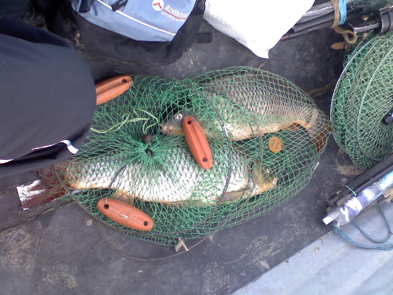 Dunare  - p27-08-09193001.jpg